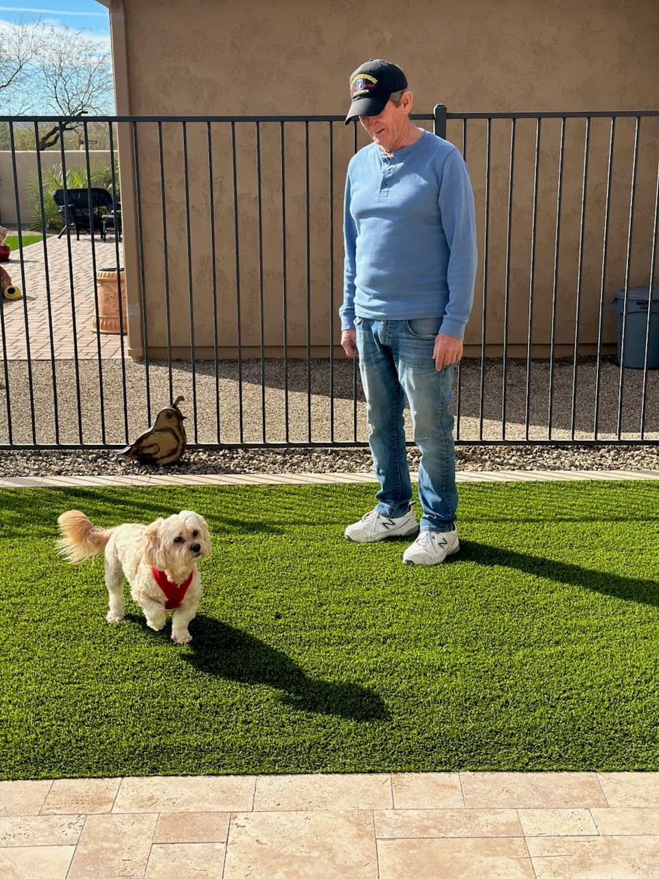 Creating Perfect Pet Spaces with Artificial Turf image