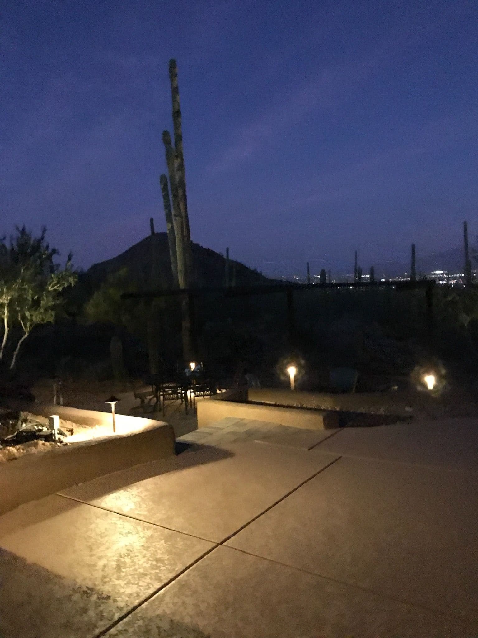 Elevate Your Evenings with Desert Oasis Lighting image