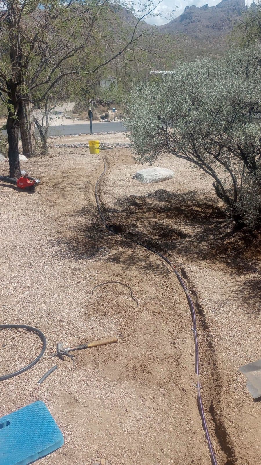 Project Efficient Irrigation Solutions Transform Tucson Yards image