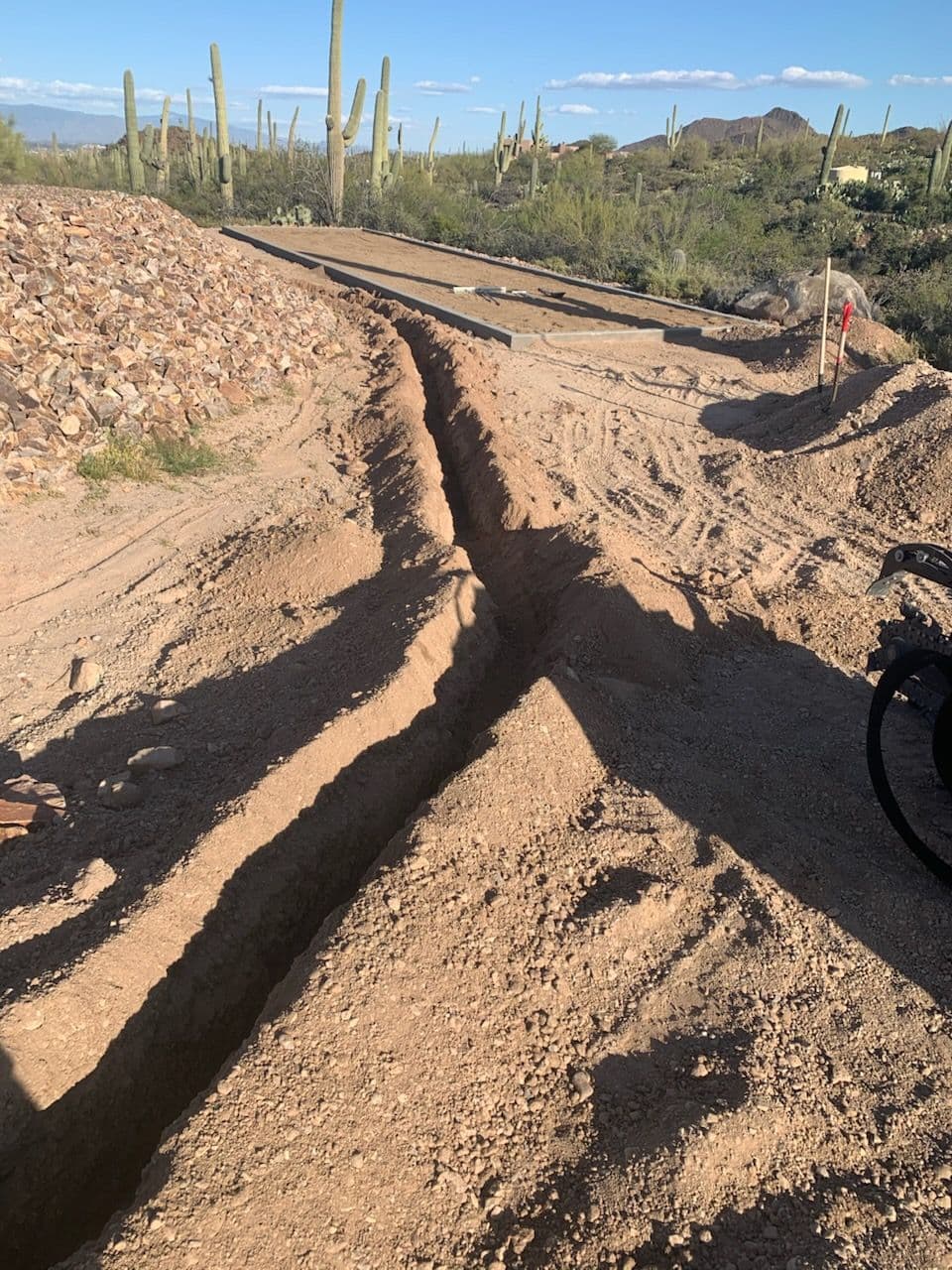 Transforming Desert Landscaping with Expert Solutions image