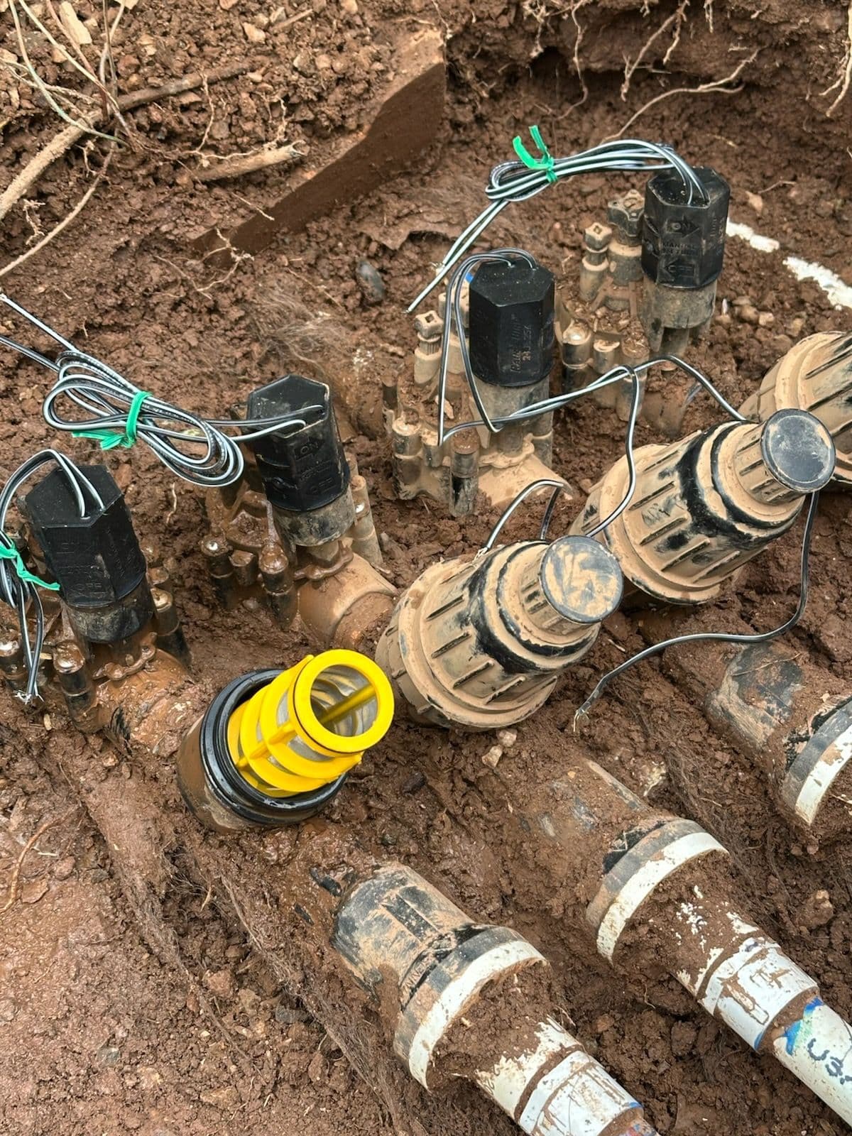 Revitalize Your Garden with New Irrigation System image