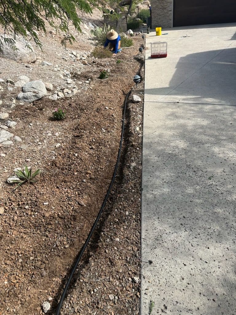 Project Transform Your Yard into a Desert Oasis Paradise image