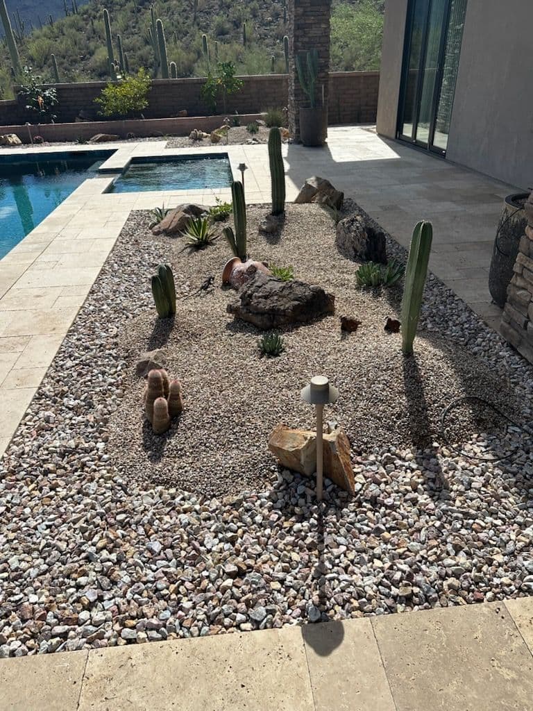 Desert Oasis Landscape with Cacti and Stones image