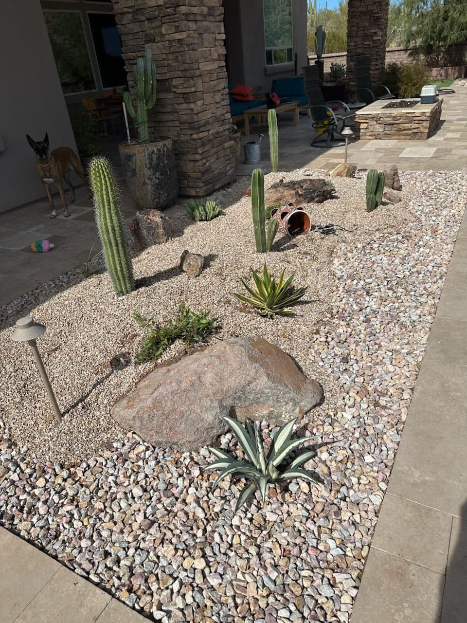 Project Desert Garden Oasis with Cacti and Decorative Rocks image