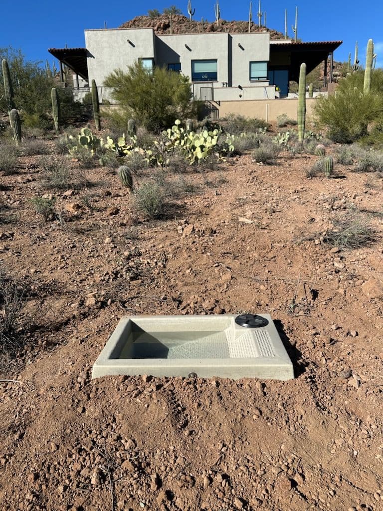 Gallery photos for Modern Desert Oasis Creation with Unique Cacti and Water Feature: Image #1